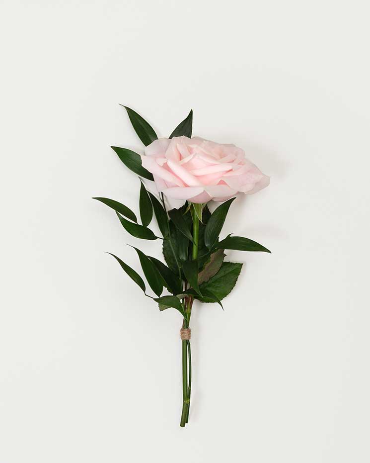 inspo-begravning-färg-blomma-handbukett-rosa-älskad.jpg